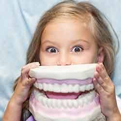 Young girl holding dental model of a mouth